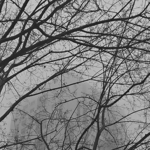 Photo #5849631