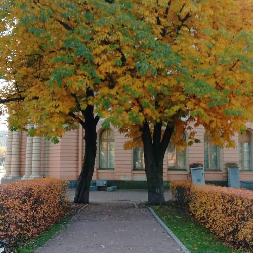 Photo #5849887