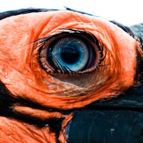 Photo #5850099