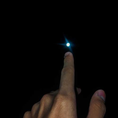 Photo #5850116