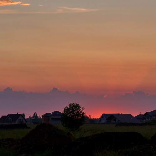 Photo #5850175