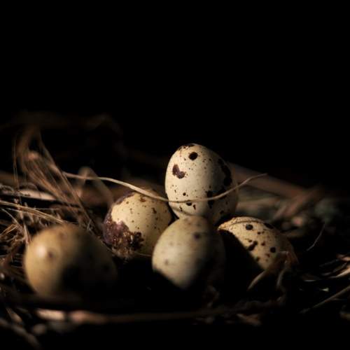 Photo #5850189