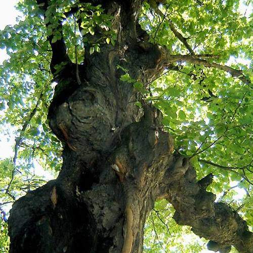 Photo #5850225
