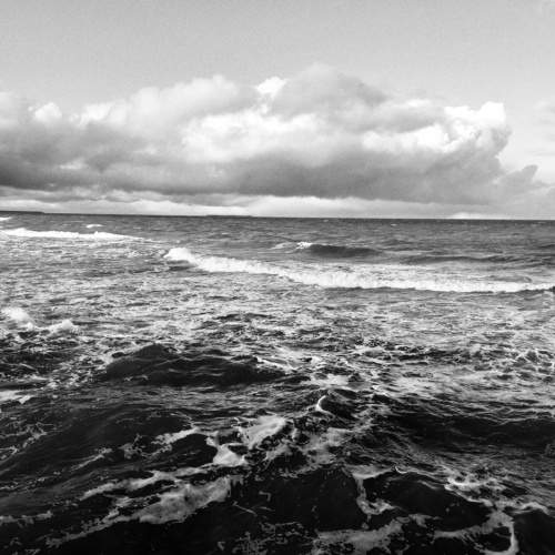 Photo #5850241