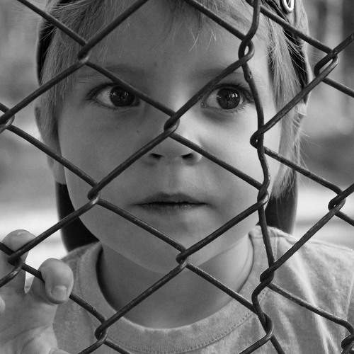 Photo #5850284