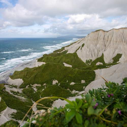 Photo #5850371