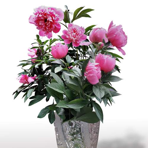 Photo #5850460