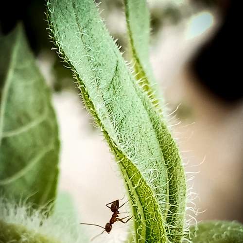Photo #5850562