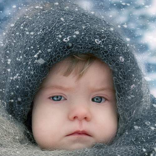 Photo #5850579