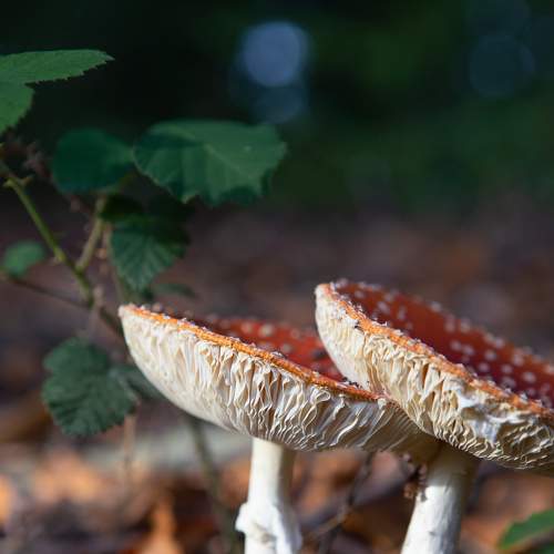 Photo #5850901