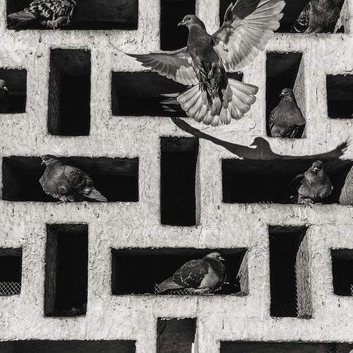 Photo #5850942