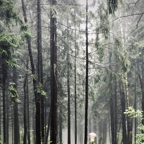Photo #5851010