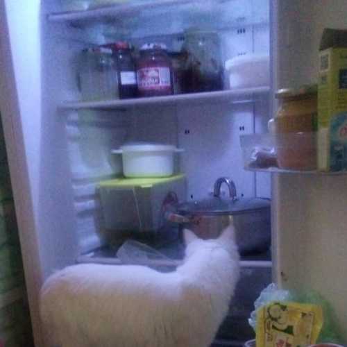 Photo #5851077