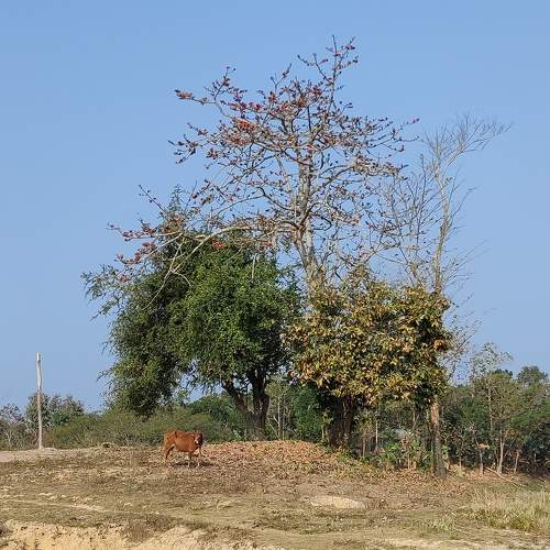 Photo #5851122