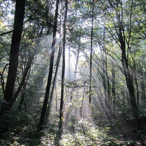 Photo #5851153