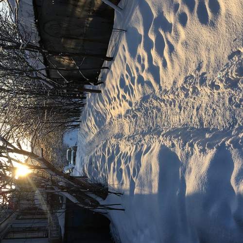 Photo #5851514