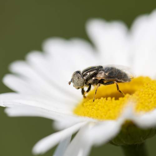 Photo #5851527