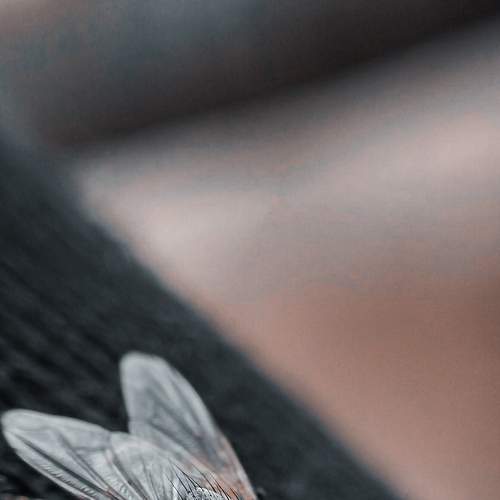 Photo #5851769
