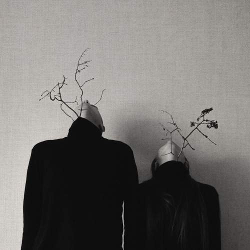 Photo #5851905