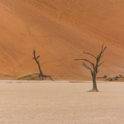 namibia