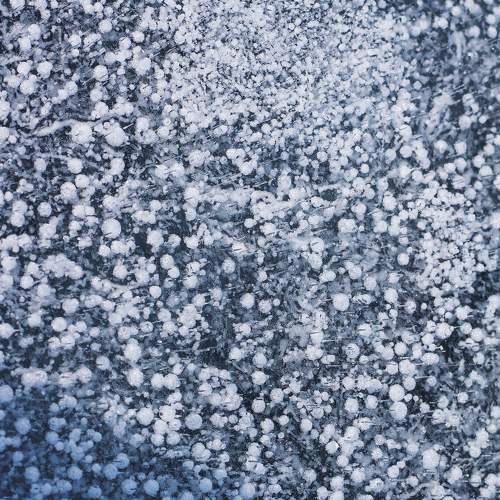 Photo #5852045