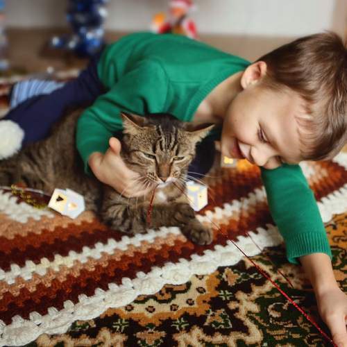 Photo #5852092