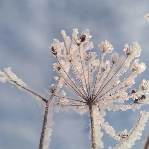 Photo #5852211