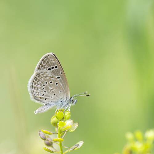 Photo #5852235