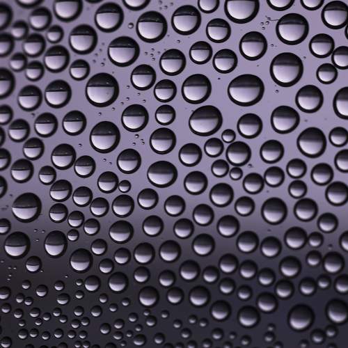 Photo #5852312