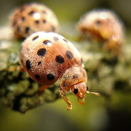 Photo #5852323