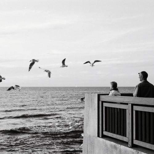 Photo #5852486