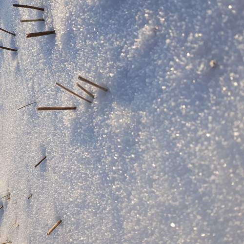 Photo #5852544
