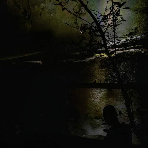 Photo #5852922