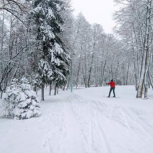 Photo #5852928