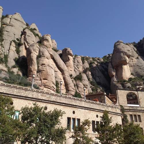 Photo #5853072