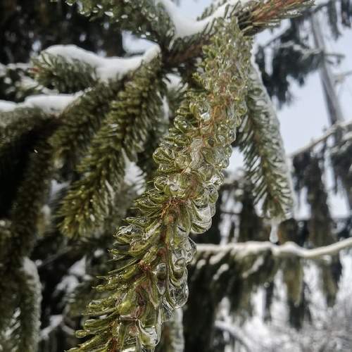 Photo #5853111