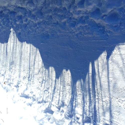 Photo #5853386