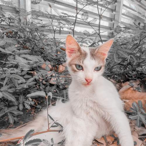 Photo #5853771