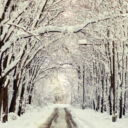Photo #5853798