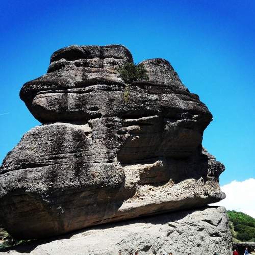 Photo #5854085