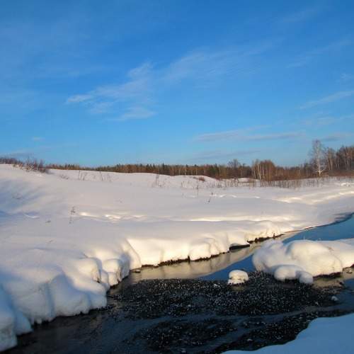 Photo #5854265