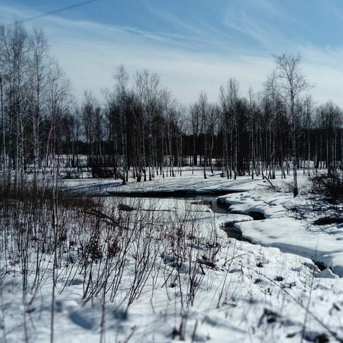 Photo #5854279