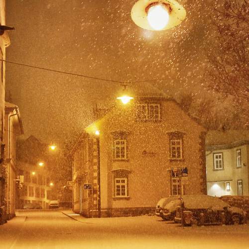Photo #5854352