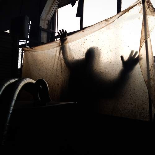 Photo #5854388