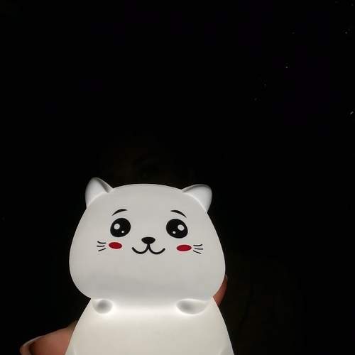 Photo #5854548