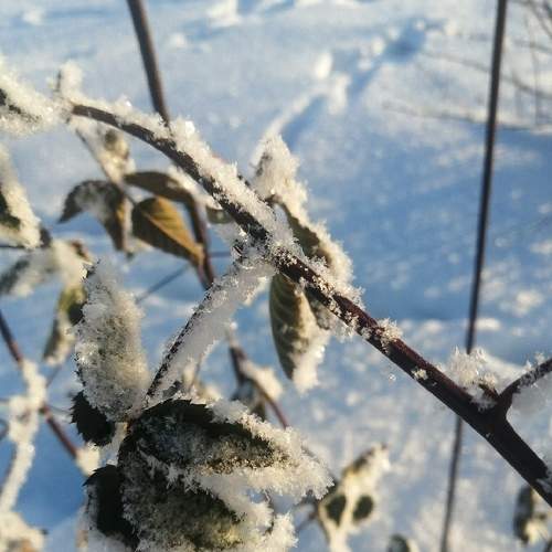 Photo #5854551