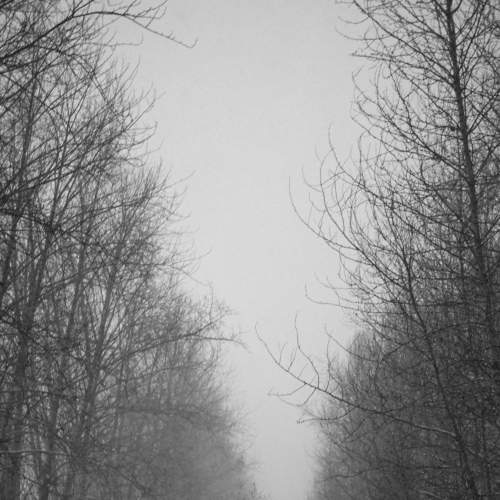 Photo #5854583