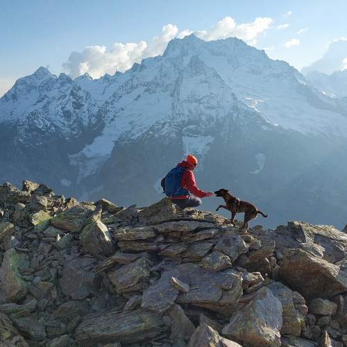 Photo #5854681
