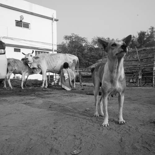 Photo #5854786