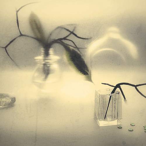 Photo #5854796